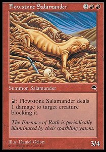 Flowstone Salamander