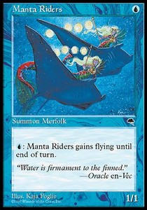 Manta Riders