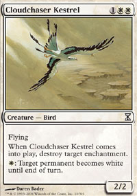 Cloudchaser Kestrel