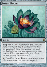 Lotus Bloom