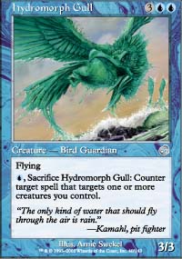 Hydromorph Gull