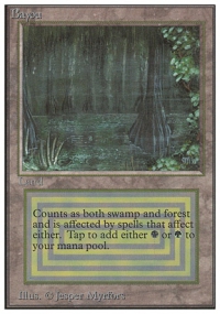 Bayou