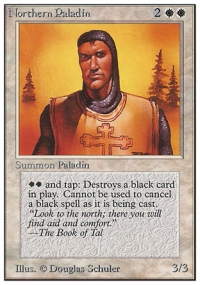 Northern Paladin