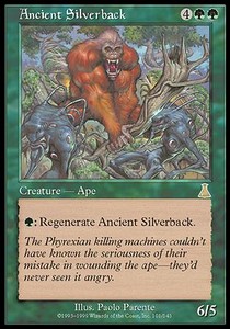 Ancient Silverback