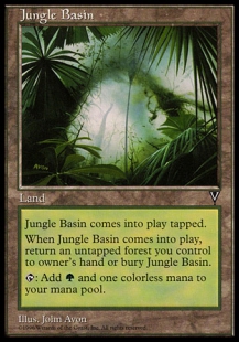 Jungle Basin