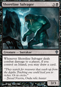 Shoreline Salvager