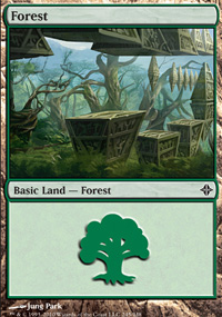 Forest