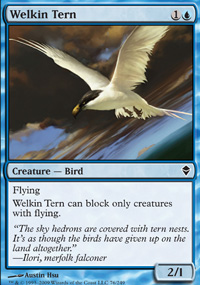 Welkin Tern