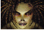 Avatar de pl
