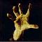 Avatar de SySteM_oF_a_dOwN