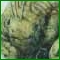 Avatar de chocopolo