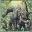 Avatar de bronto