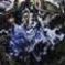 Avatar de infiltrateurdu62