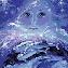 Avatar de titpuce7981