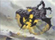 Avatar de darksteel-reactor