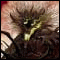 Avatar de snake206