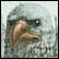 Avatar de siffer