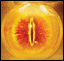 Avatar de goku598