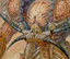 Avatar de sholdu