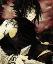 Avatar de arcanis_80