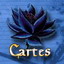 Avatar de Lotus_Noir_666