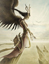 Avatar de Stephen83
