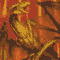 Avatar de mat31