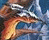 Avatar de The_Lord_of_silver