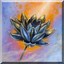 Avatar de dragon_sauvage