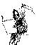 Avatar de dark-blood