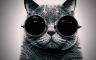 Avatar de tonneyre