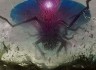 Avatar de theonantesenforce